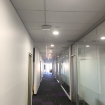 file5-2-e1480591427241-225x300